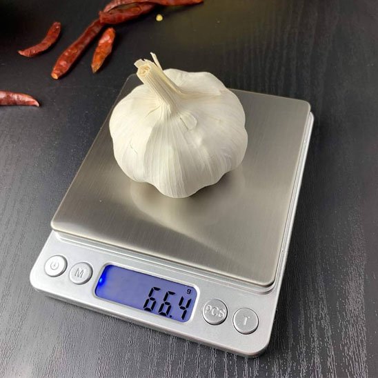 Balance cuisine numérique précision pesant tête ail plateau acier inoxydable